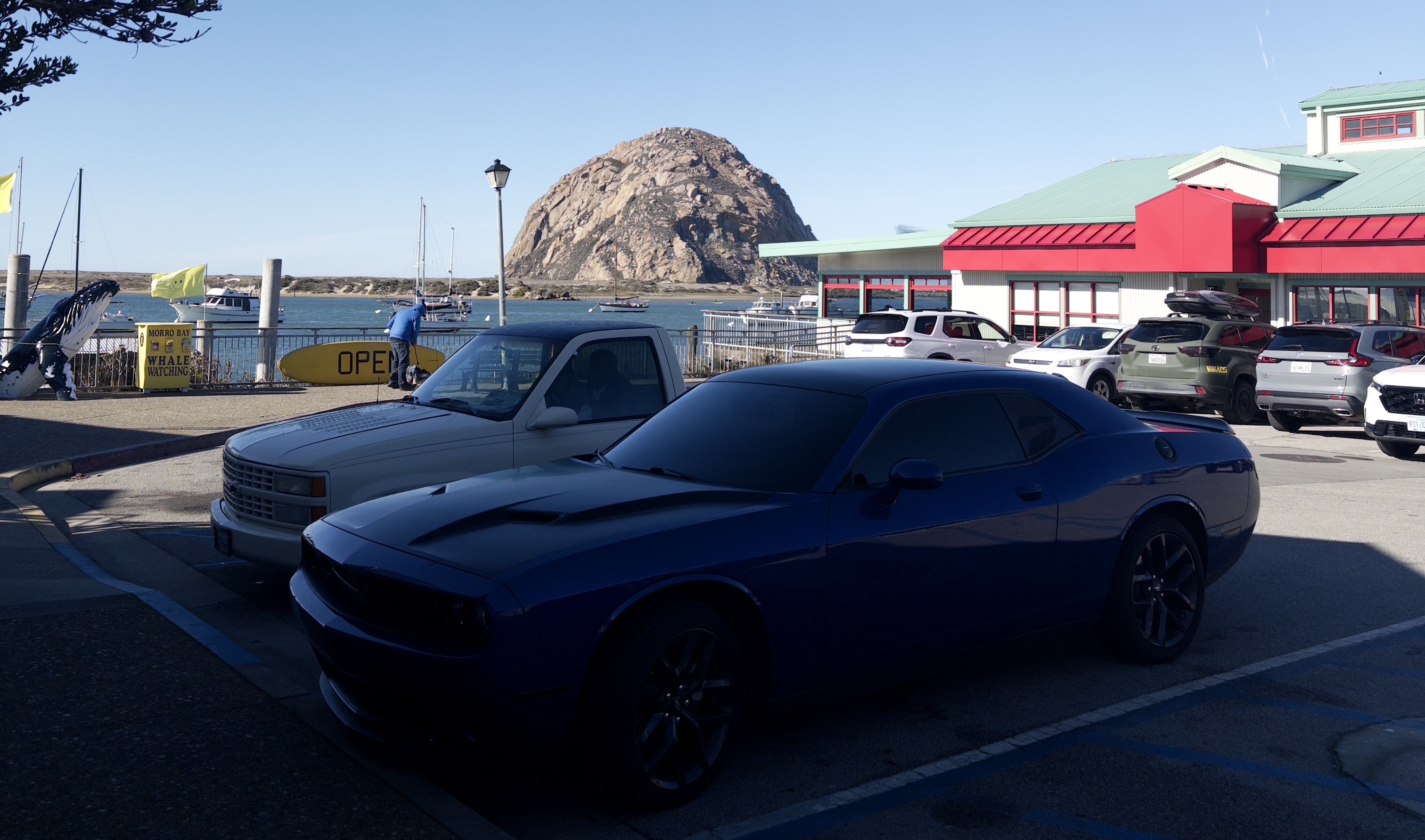 Cars in the city